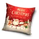 CBX191112XMAS.jpg