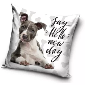 CBX195003DOG.jpg