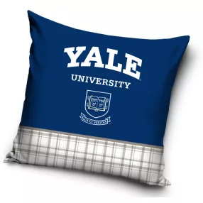 CBX213008YALE.jpg