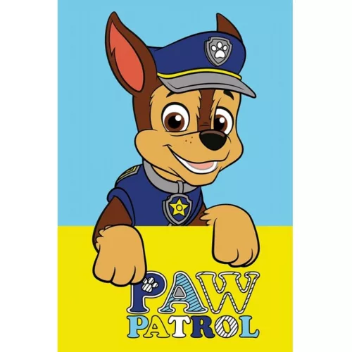 CBX223062PAW.jpg