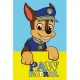 CBX223062PAW.jpg